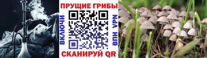 Галлюциногенные грибы Magic Shrooms shop как зайти Сибай где можно купить